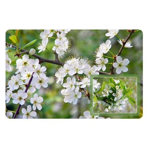 Салфетка Дикая вишня 39*25см FJ51-4