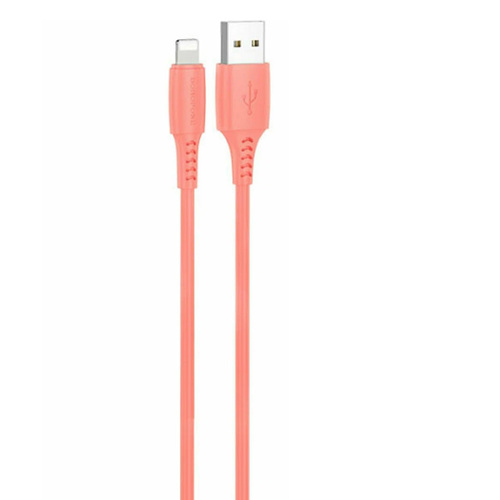 Шнур TypeC/Lightning(Iphone) BOROFONE BX40 PD APOMA в банке 27W 3А 1м