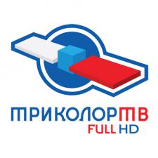 Комплект спутникового телевидения ТРИКОЛОР FULL HD (GS B211)