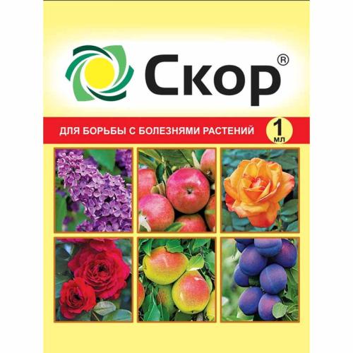 Средство от болезней растений Фунгицид Скор 1мл  (уп.200шт)