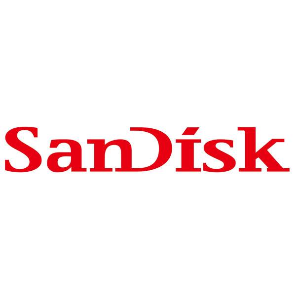 пам. SD 64Gb SAN DISK класс 10